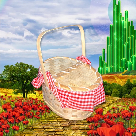 KIDS WIZARD OF OZ DORTHY DRESS HALLOWEEN COSTUME - Picture 5 of 6